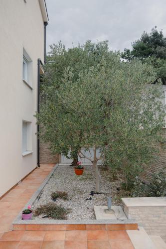 Κήπος έξω από το Villa Green Hema