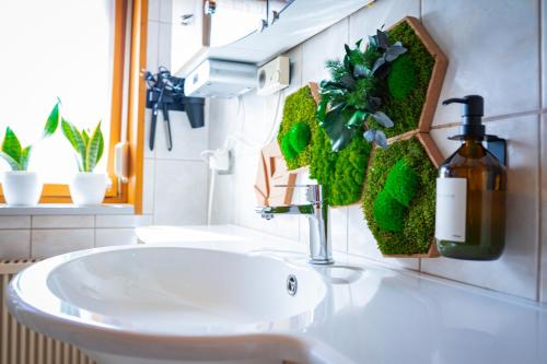 a bathroom sink with a green plant on the wall at WaldSeeLiebe in Pinnow