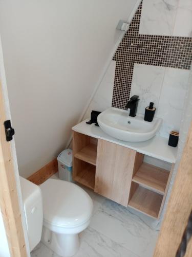 a bathroom with a white toilet and a sink at Kuca za odmor Lola in Ivanjica