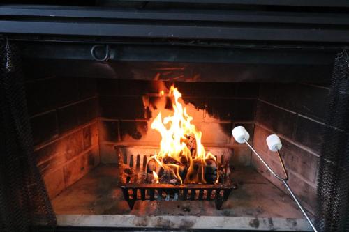 Φωτογραφία από το άλμπουμ του Tremblant Prestige - Clairiere 404 στο Μοντ Τρεμπλάν