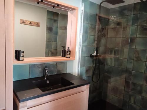 une salle de bain avec un lavabo et une douche dans l'établissement Le clos des papillons, à Carly