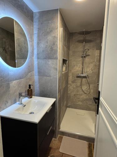 une salle de bain avec un lavabo et une douche dans l'établissement Panorama Suites - Provins, à Provins