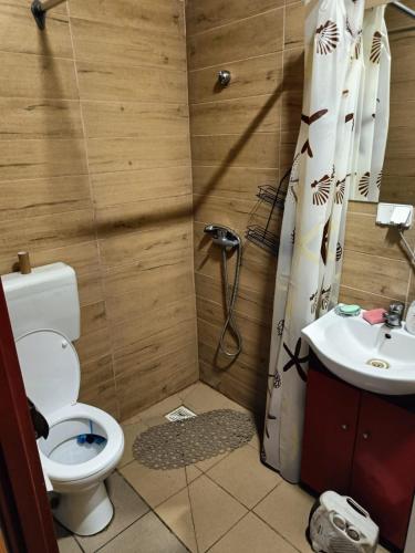 a bathroom with a toilet and a sink at Domek letniskowy Lipsk saperów 42 in Lipsk