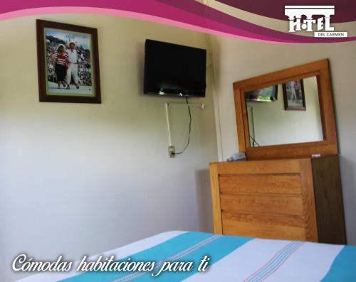 TV a/nebo společenská místnost v ubytování Hotel Del carmen