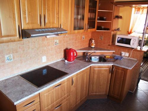a kitchen with wooden cabinets and a sink and a microwave at Penzion U Potoka in Nezdice