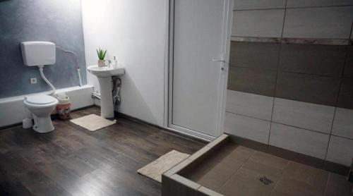 a bathroom with a shower and a toilet and a sink at pensiunea medellin in Tulcea