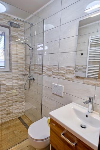 a bathroom with a shower and a toilet and a sink at APARTMENT PETEK in Bled