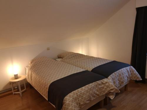 1 dormitorio con 1 cama en una habitación con lámpara en Au Natur'elle, en Gemmenich