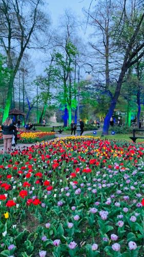 a field of flowers in a park with people walking at Apartament ultracentral Classic Vibe in Craiova