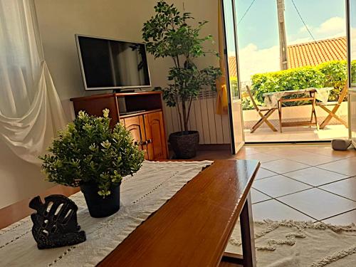 Arrifana Beach- T2 Sun & Surf Flat