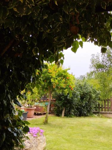 a garden with plants and flowers in a yard at La Quiete in Caraglio