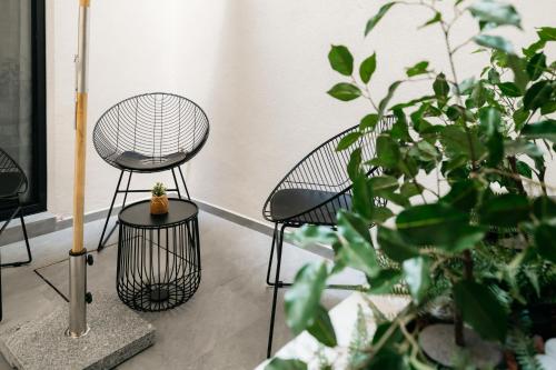 a room with two chairs and potted plants at Casa Castillo Condesa in Mexico City
