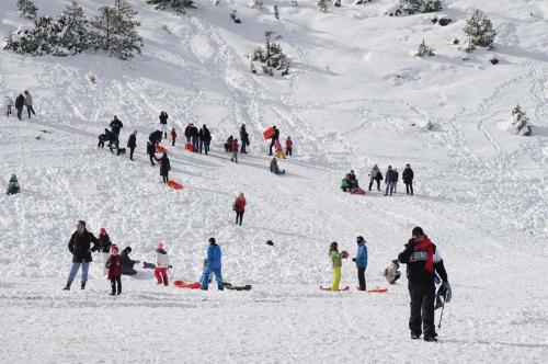 a group of people standing on a snow covered slope at Trikalon Muses Art Suites in Synikia Mesi Trikalon