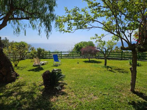 a blue chair sitting in a field of grass at Case Vacanze Macchione in Capo Vaticano