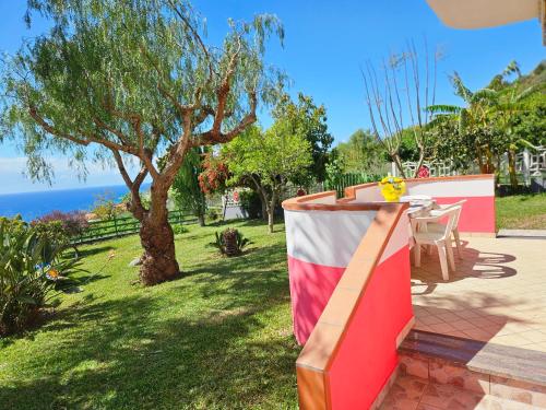 a yard with a table and a tree and the ocean at Case Vacanze Macchione in Capo Vaticano