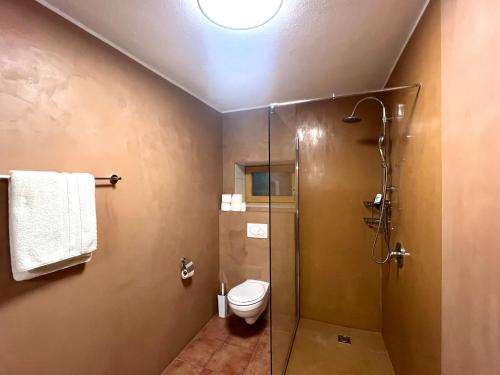 a bathroom with a toilet and a glass shower at Chalet Aurach in Aurach bei Kitzbuhel