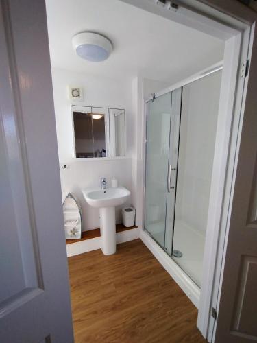 a bathroom with a sink and a glass shower at Little Bassett Bed & Breakfast in Totland