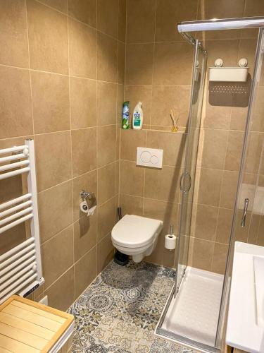 a bathroom with a toilet and a shower at Vakantiehuis in de polder in Lewedorp