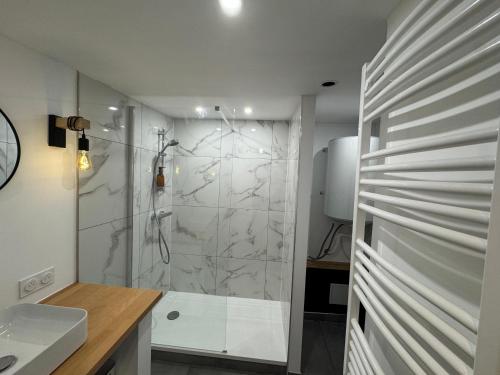 une salle de bain avec douche et lavabo dans l'établissement Grand Studio - Au Faubourg - Strasbourg Centre, à Strasbourg