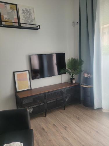 Televízia a/alebo spoločenská miestnosť v ubytovaní Apartment in the center of Seville