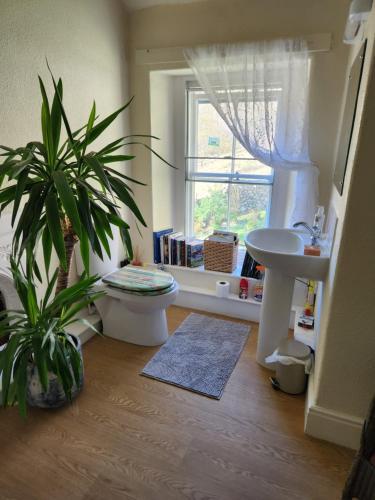 a bathroom with a sink and a toilet and a window at Blea Tarn Farmhouse B&B in Ambleside