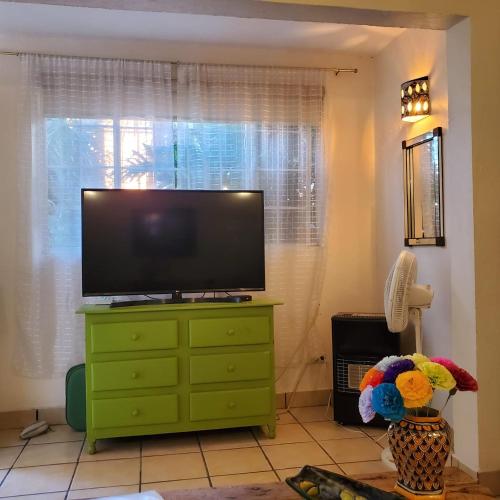 TV a/nebo společenská místnost v ubytování Pied à Terre at Casitas Aparicio
