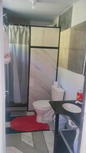 a bathroom with a toilet and a shower at Chalé Paiano in Rio do Sul