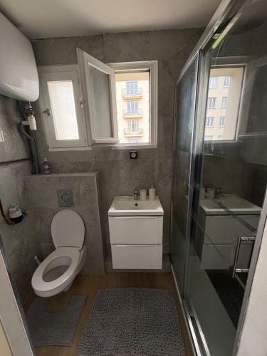 Un baño pequeño con inodoro y lavabo. en Charmant T2 rénové, en Lyon