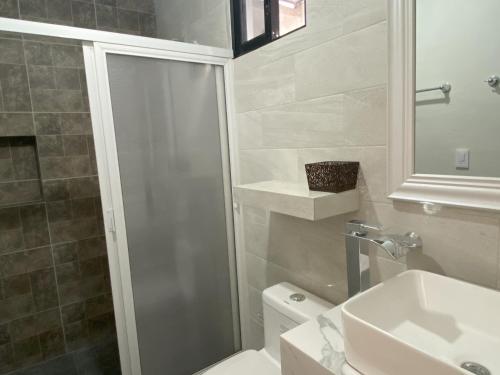 a bathroom with a shower and a toilet and a sink at Casa Leonor. 2 cuartos, 2 baños, Cocina, cochera. in Valladolid