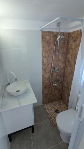 a bathroom with a shower and a toilet and a sink at La Cabaña Estudio pequeño in Fasnia