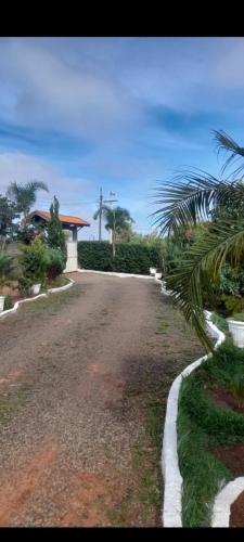 a road with a palm tree and a house at Chácara aconchegante, próximo Águas de Santa Bárbara in Santa Bárbara do Rio Pardo