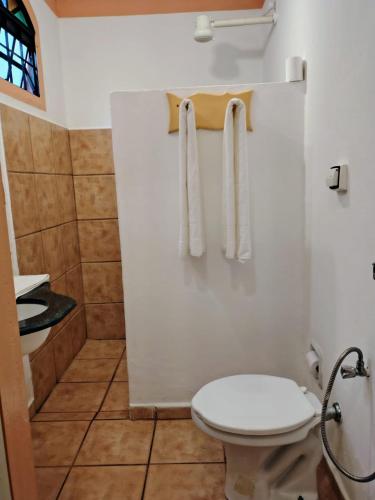 a bathroom with a toilet and a shower at Pousada Pouso do Frade in Pirenópolis