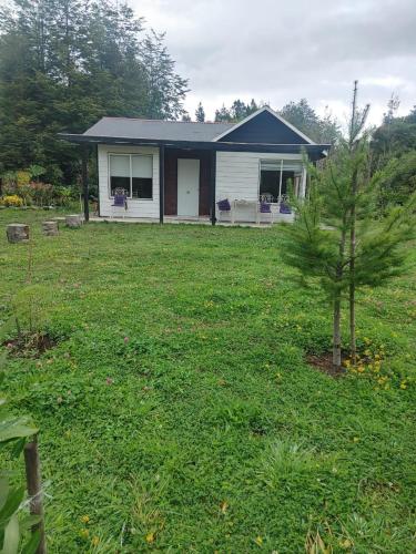 Κήπος έξω από το Cabañas Costabudy