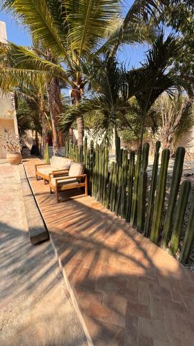 a row of benches next to a fence with palm trees at Hotel Renata in Mazunte