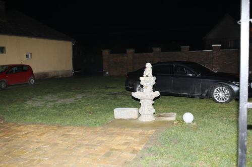 a black car parked next to a fire hydrant at VILA VASILIJE in Novi Kneževac