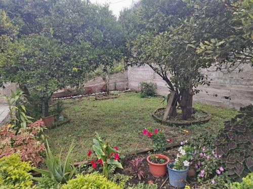 a garden with trees and flowers in a yard at Casa el Rey in Baños