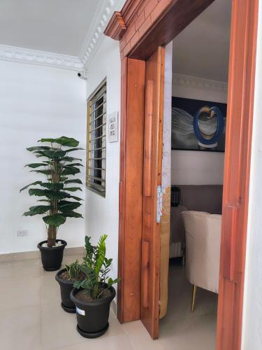 an open door with potted plants in a room at Mariposa in Juan López
