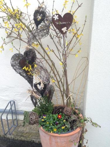 a plant in a pot next to a wall at Pension Hönel-Hof Bad Schandau in Bad Schandau