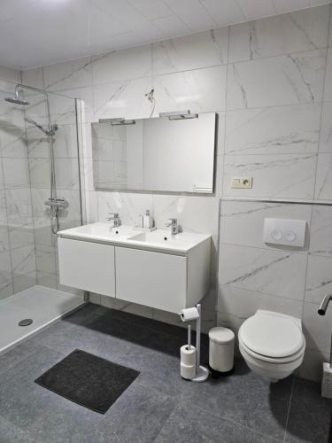 Koupelna v ubytování Gribomont Loft