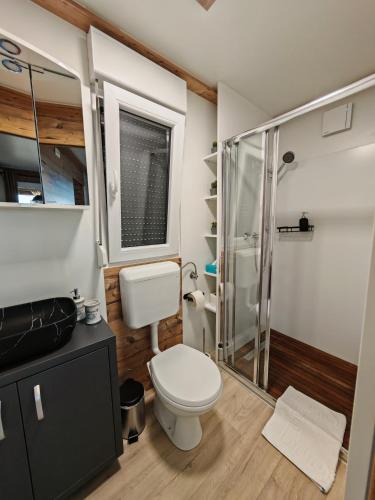 a bathroom with a toilet and a glass shower at Mobile home Sparkle TT in Klenovica