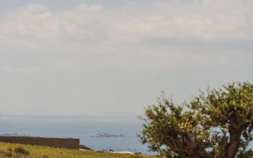 a tree on a hill with the ocean in the background at Theros Villas Naxos in Plaka