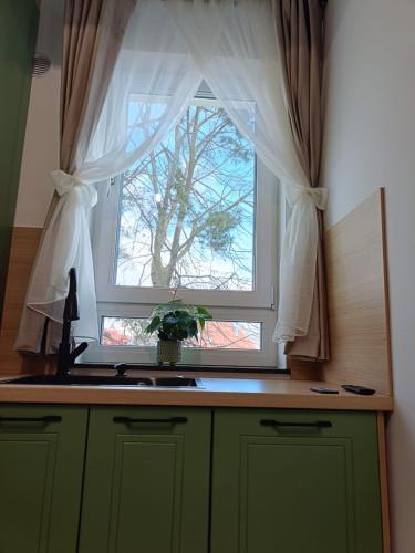 a kitchen window with a sink and a vase of flowers at Arinis Class in Gura Humorului
