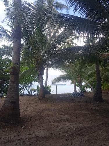 a group of palm trees on a sandy beach at batu putih cottage karimunjawa in Karimunjawa