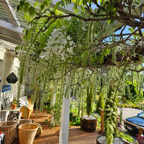 a greenhouse with a bunch of plants and flowers at Carrowmore House in Naseby