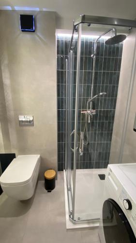 a bathroom with a shower and a toilet and a sink at Apartament Juliana in Tarnowskie Góry