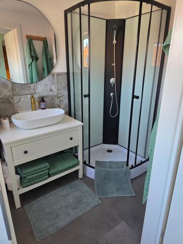 a bathroom with a shower with a sink and a mirror at Tenneberger Wohnung 2 in Ilsenburg