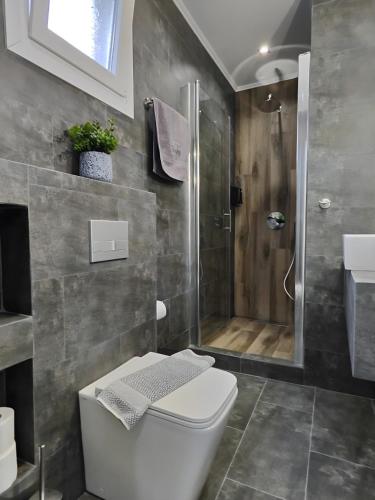 a bathroom with a toilet and a shower at StayInn Luxury Apartments in Nea Kalikratia