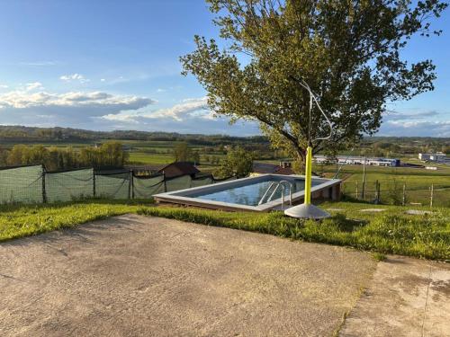 a tree and a swimming pool in a yard at Cascina Bramasole in Celle Enomondo