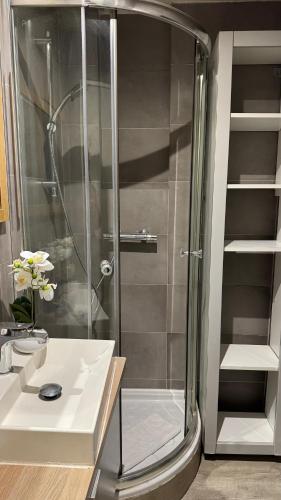 La salle de bains est pourvue d'une douche et d'un lavabo blanc. dans l'établissement Practical Lodging near Le Louvre, à Paris