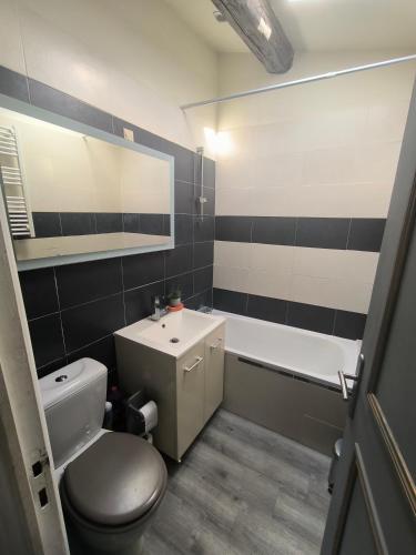 une salle de bain avec toilettes, lavabo et baignoire dans l'établissement Appartement ravissant au bord de l'Hérault, à Agde
